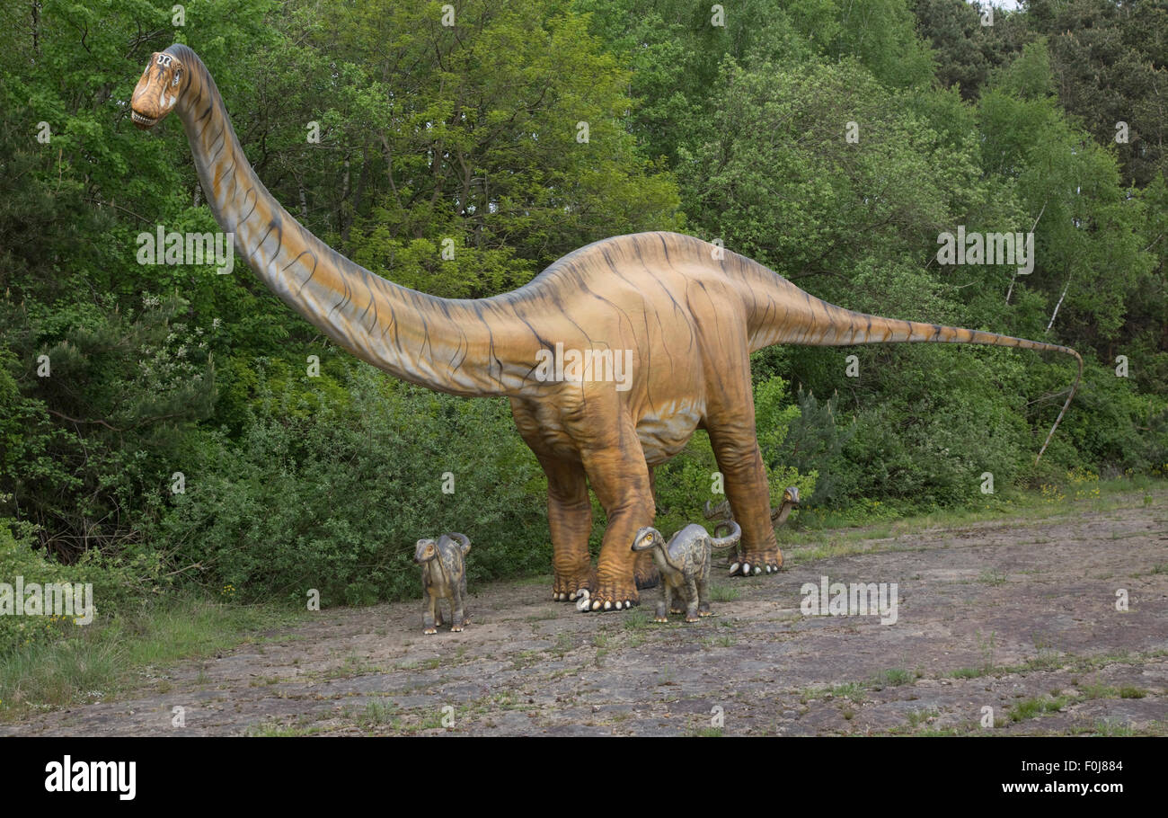 Diplodocus a large herbivorous extinct sauropod dinosaur of the Jurassic period Dinosaurier Park Germany Stock Photo