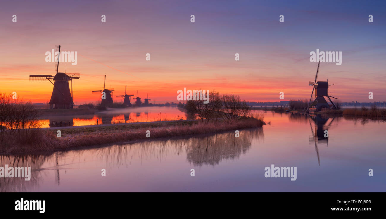 Traditional Dutch windmills just before sunrise. Photographed at the famous Kinderdijk. Stock Photo
