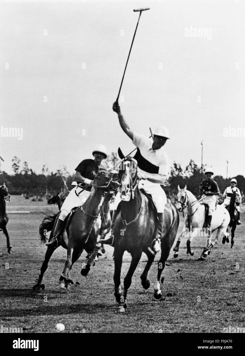 sports,Olympic Games,Berlin 1936,polo,preliminary game Hungary versus Germany 8: 8 after extra time,German player attacking,Berlin,4.8.1936,Germany,match,matches,player,players,playing,play,rider,riders,horse,horses,horse-riding,riding,equine sports,equestrian sport,equitation,racket,racquet,rackets,racquets,Olympia,Olympic Games,Olympics,Olympiad,championship,championships,contest,contests,tournament,tourney,tournaments,tourneys,competition,competitions,1930s,30s,20th century,preliminary game,preliminary games,in ,Additional-Rights-Clearences-Not Available Stock Photo
