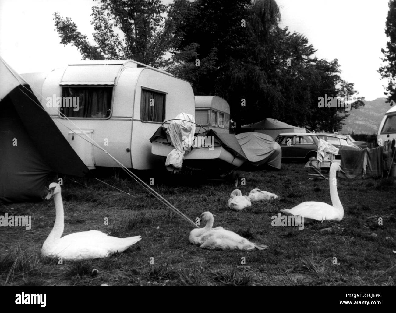 tourism, camping, camping site on lake of Annecy, France, 1950s, , Additional-Rights-Clearences-Not Available Stock Photo