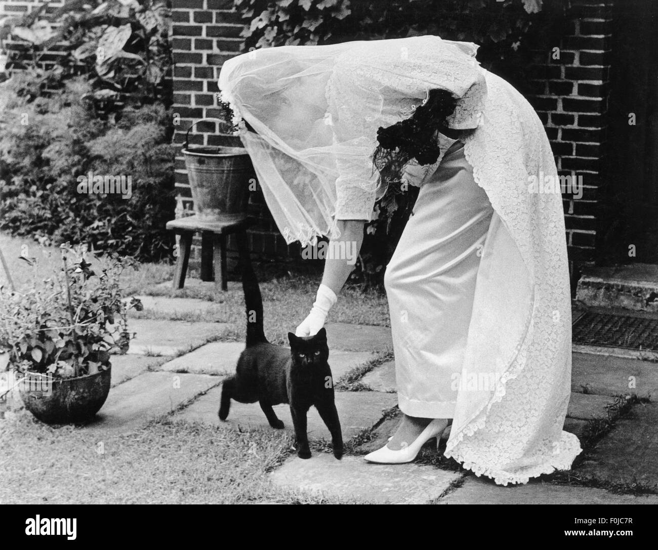 superstition, bride with a black cat, 1960s, Additional-Rights-Clearences-Not Available Stock Photo
