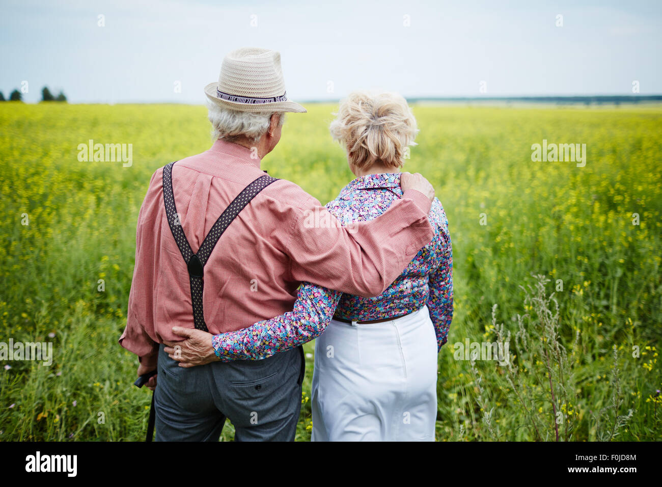 Rear view of senior couple taking a walk in the field Stock Photo - Alamy