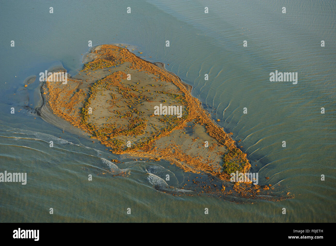 Aerial view over the Danube delta, with island of land, Danube delta rewilding area, Romania, June 2012 Stock Photo