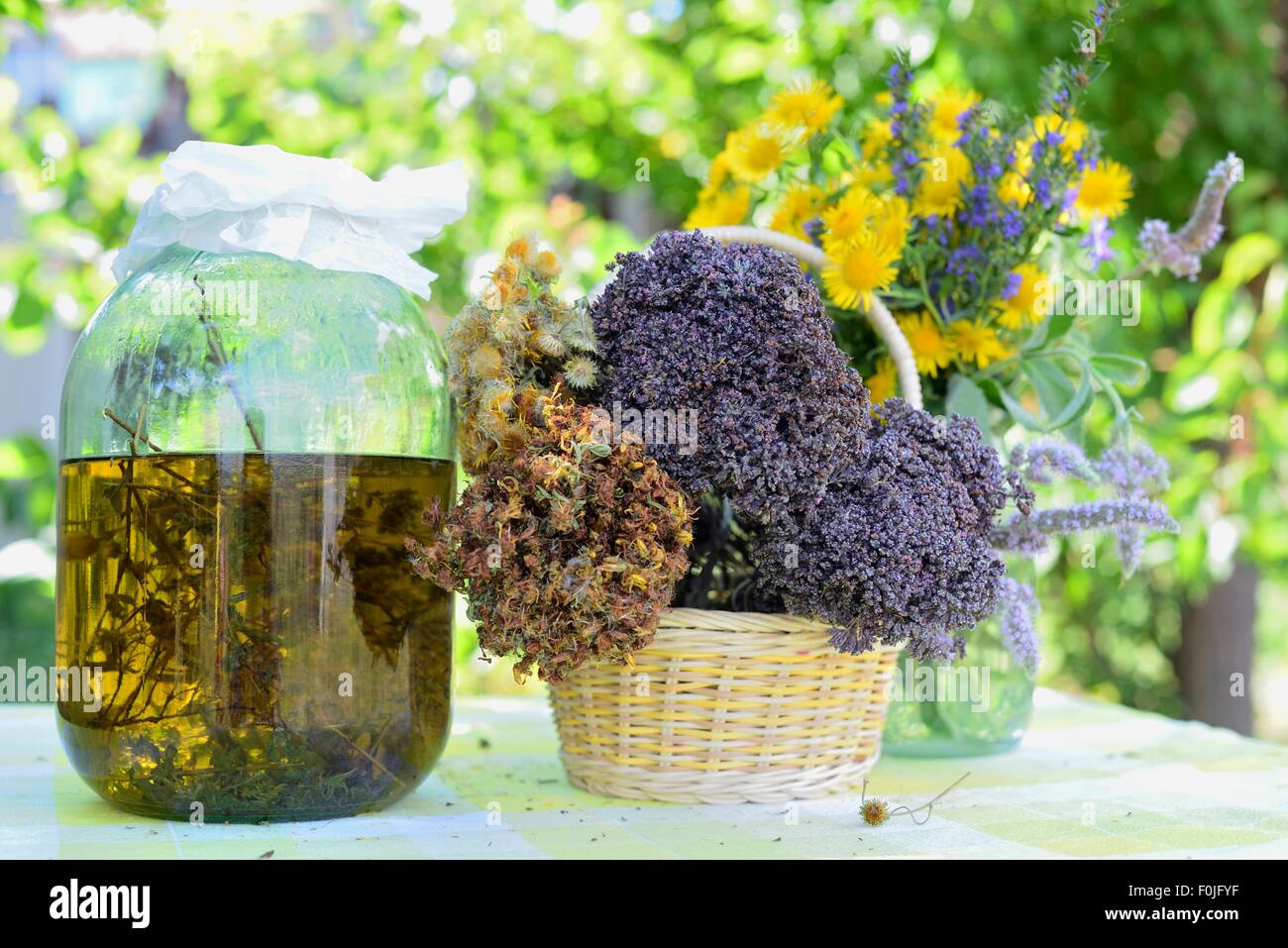 Dried healing herbs and herb extract Stock Photo Alamy