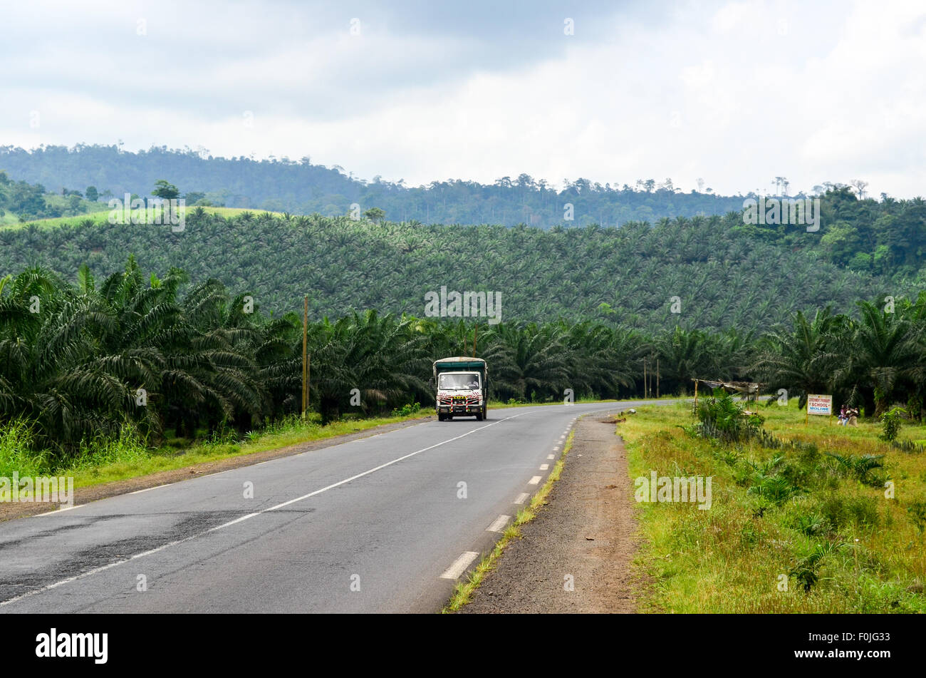 Truck on a road crossing into a palm tree plantation near Mount Cameroon Stock Photo