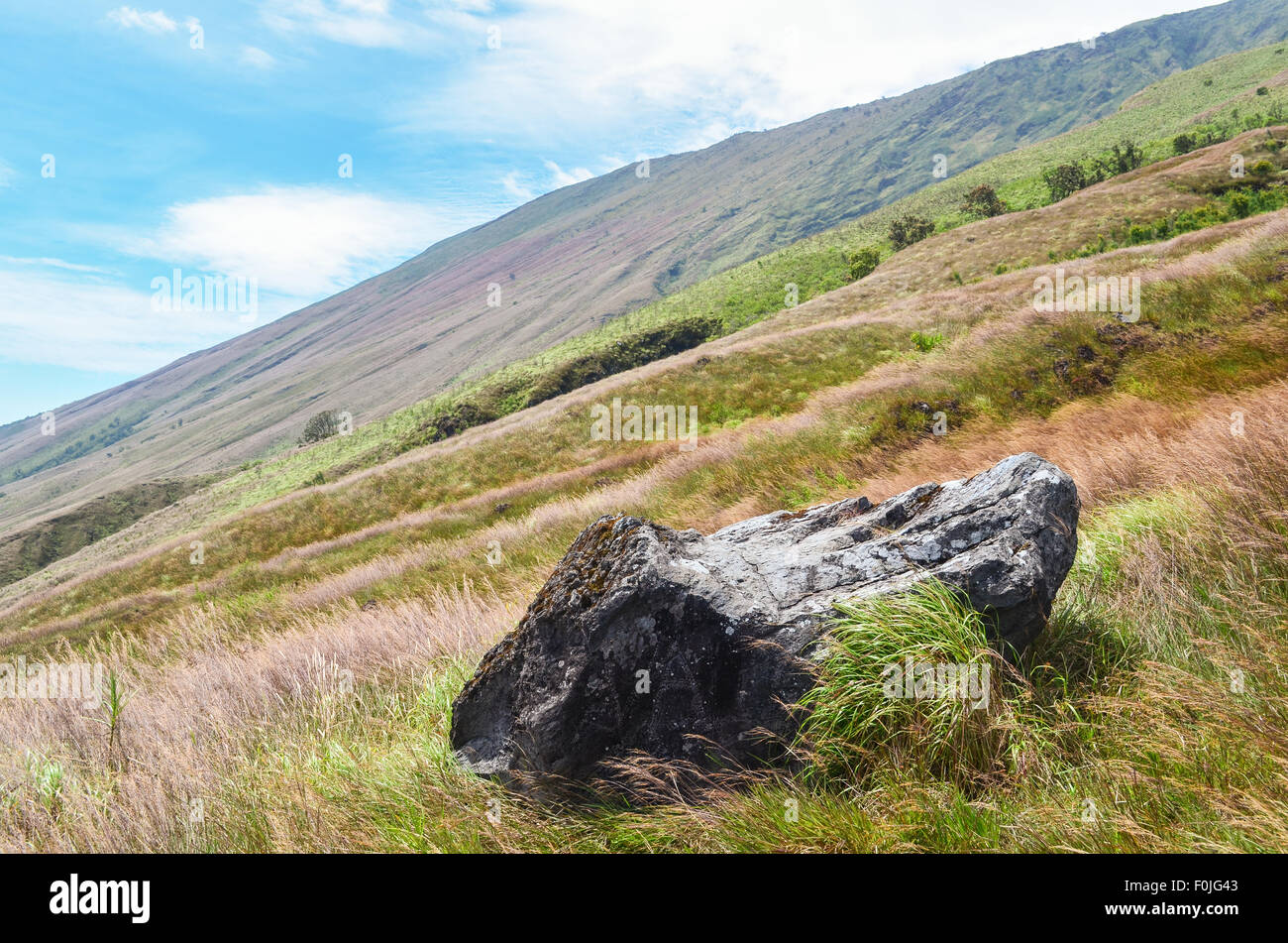 Ascent of Mount Cameroon (Mount Fako), the highest summit of West Africa Stock Photo