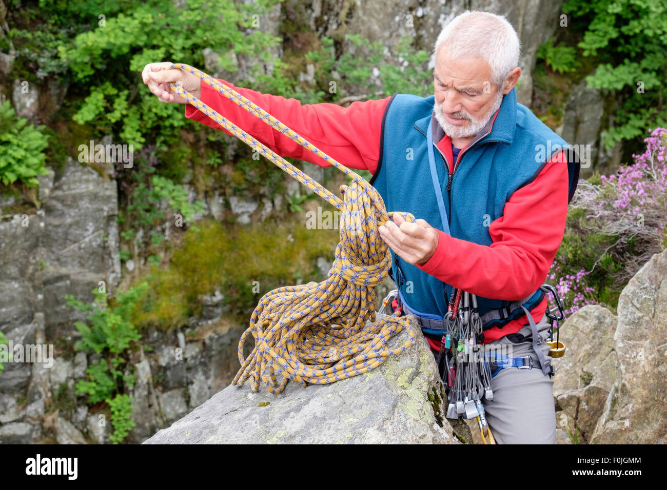 Experienced active elderly senior rock climber unwrapping a climbing rope at top of a crag preparing to climb. Snowdonia, North Wales, UK, Britain Stock Photo