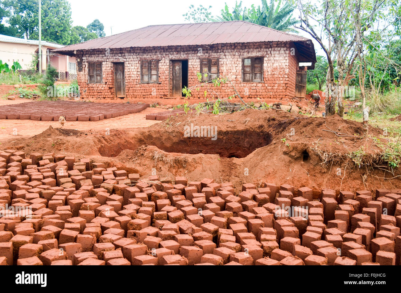 Mud bricks drying to build houses in Cameroon Stock Photo