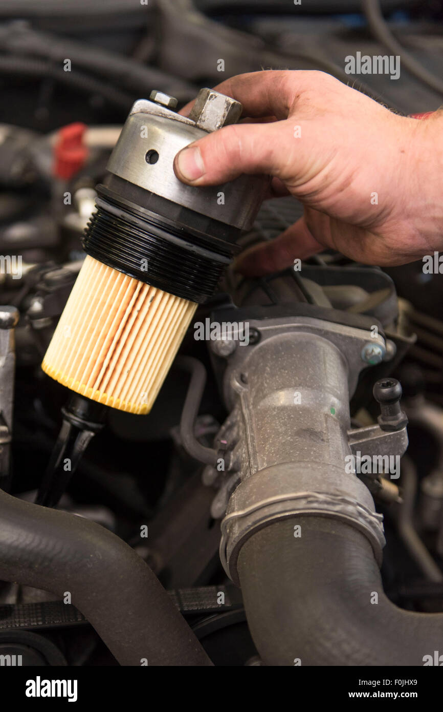 A car mechanic fits a new oil filter to a car during routine maintenance. Stock Photo