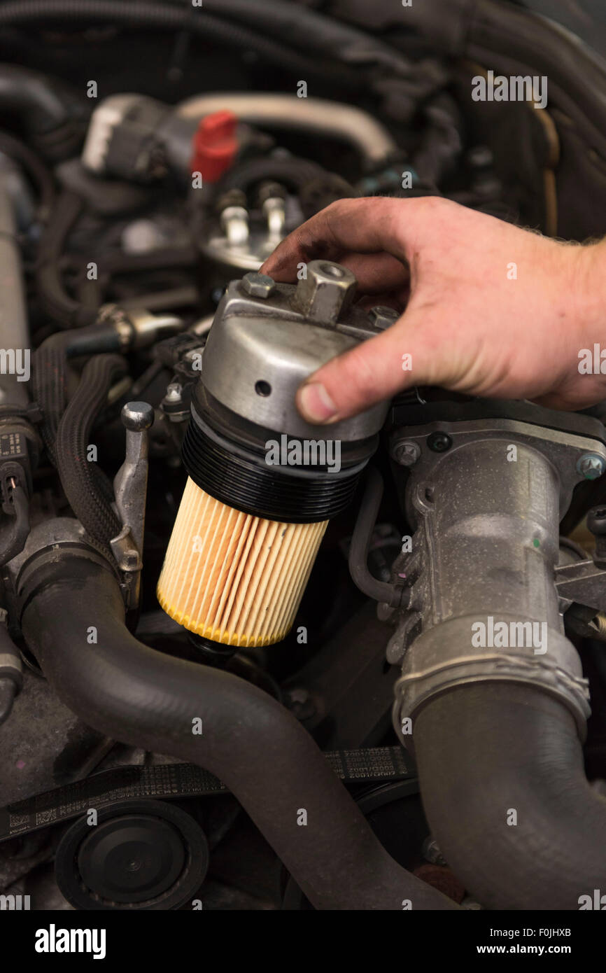 A car mechanic fits an oil filter to a car during general maintenance Stock Photo