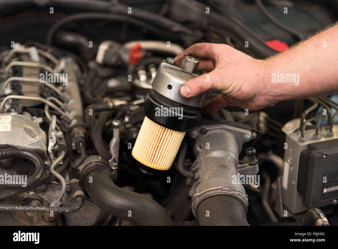 auto oil filters