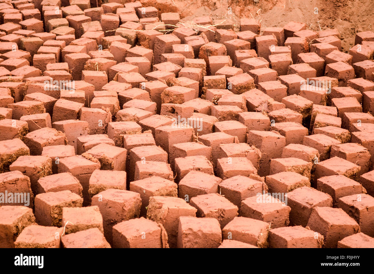 Mud bricks drying to build houses in Cameroon Stock Photo Alamy