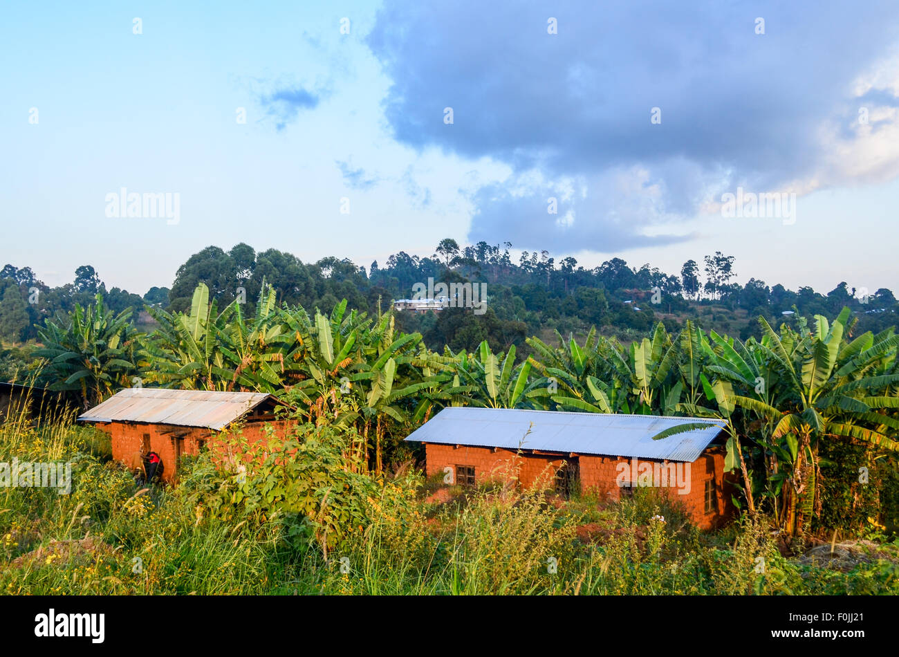 Cameroon High Resolution Stock Photography and Images - Alamy