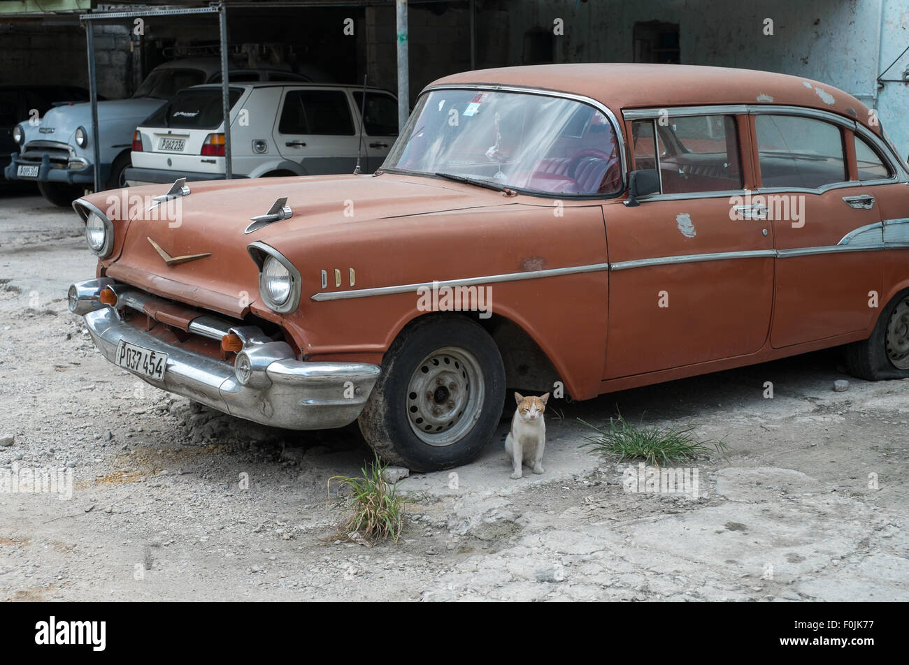 Vintage 1950s cars major hi-res stock photography and images - Alamy