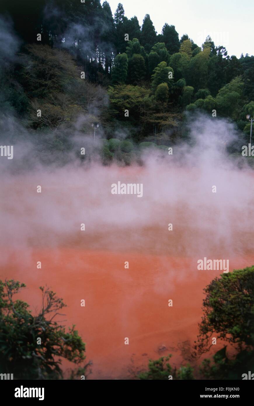 Japan, Kyushu, Beppu, Jigoku (Boiling Hells), hot spring Stock Photo