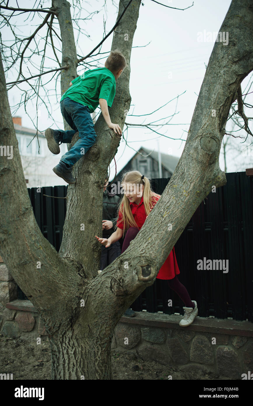 Children climb on tree Stock Photo