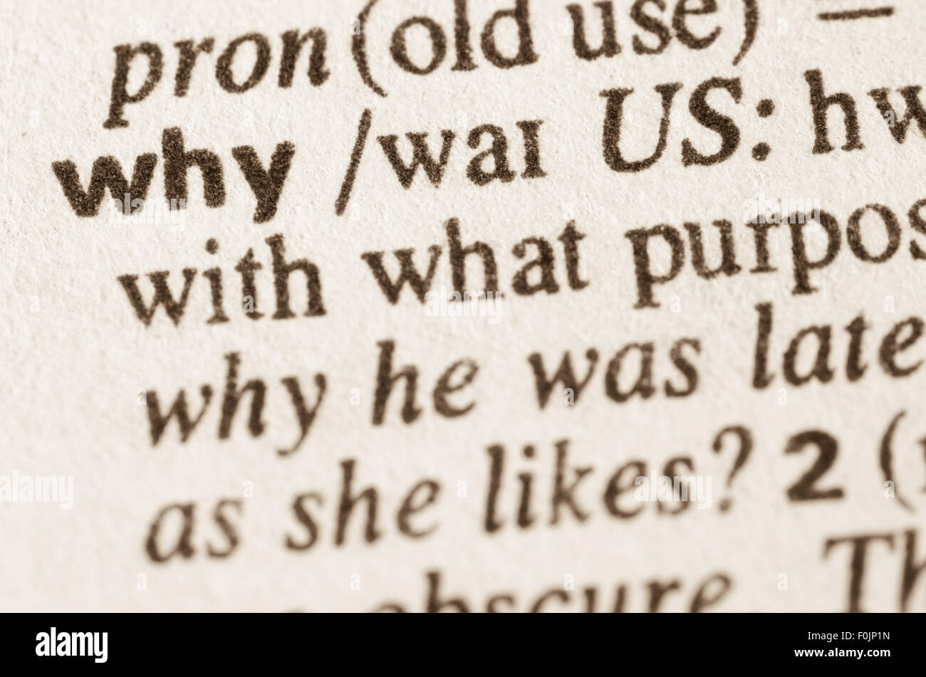 Definition of word why in dictionary Stock Photo Alamy