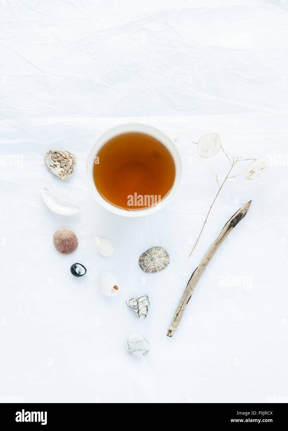 a cup of tea surrounded by shells, honesty see dpods, pebbles and driftwood pencil Stock Photo