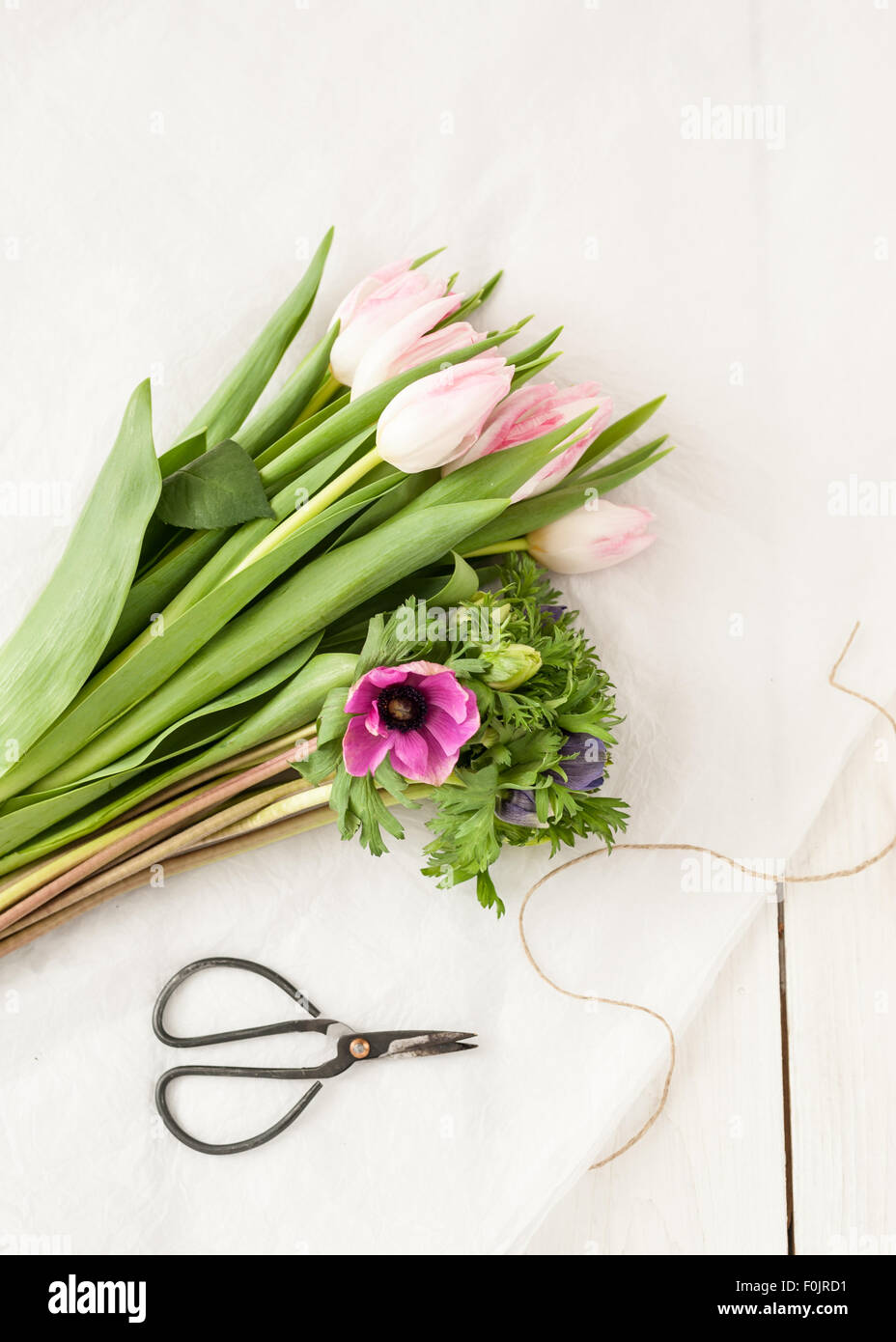 bunch of anemones on white table with scissors and twine Stock Photo