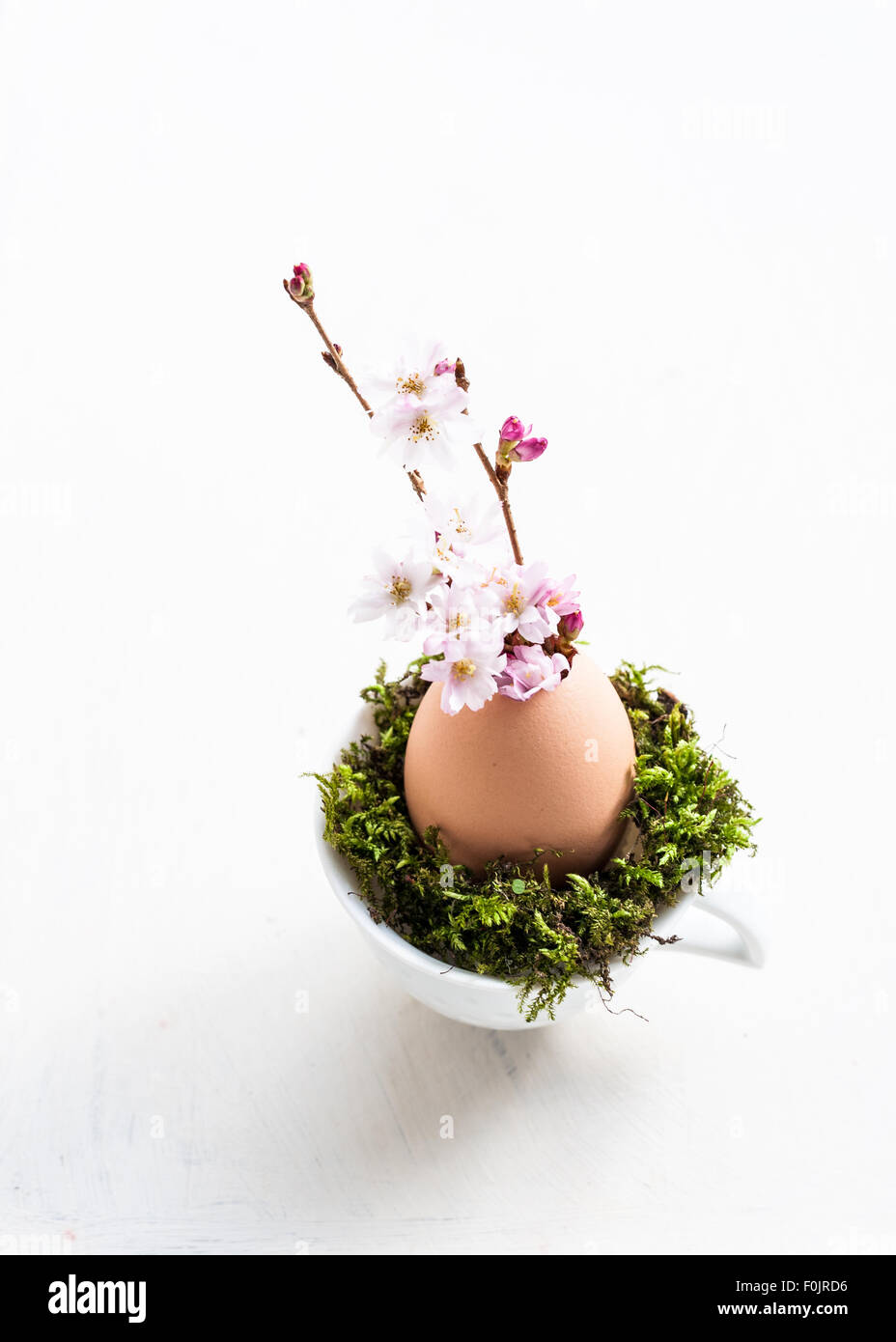 eggshell used as container for cherry blossom twig, in a coffee cup filled with moss Stock Photo