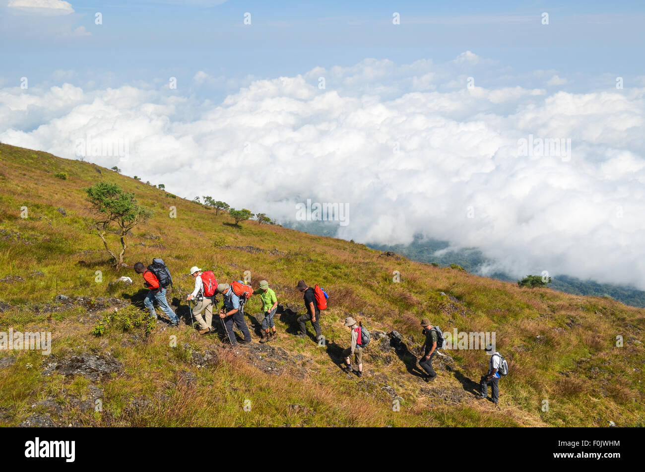 Tourists during the ascent of Mount Cameroon (Mount Fako), the highest summit of West Africa Stock Photo