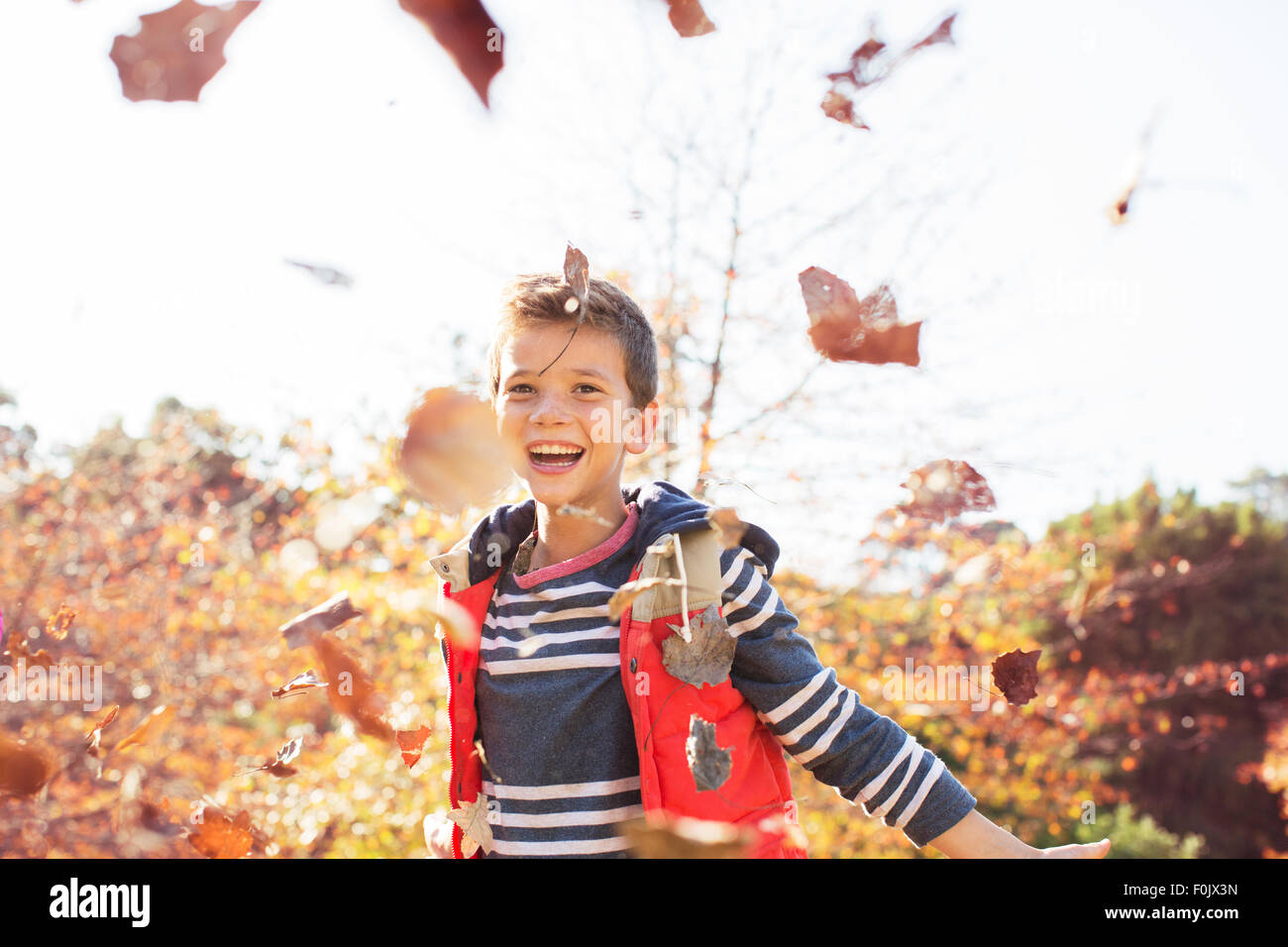 Portrait of enthusiastic boy throwing autumn leaves Stock Photo