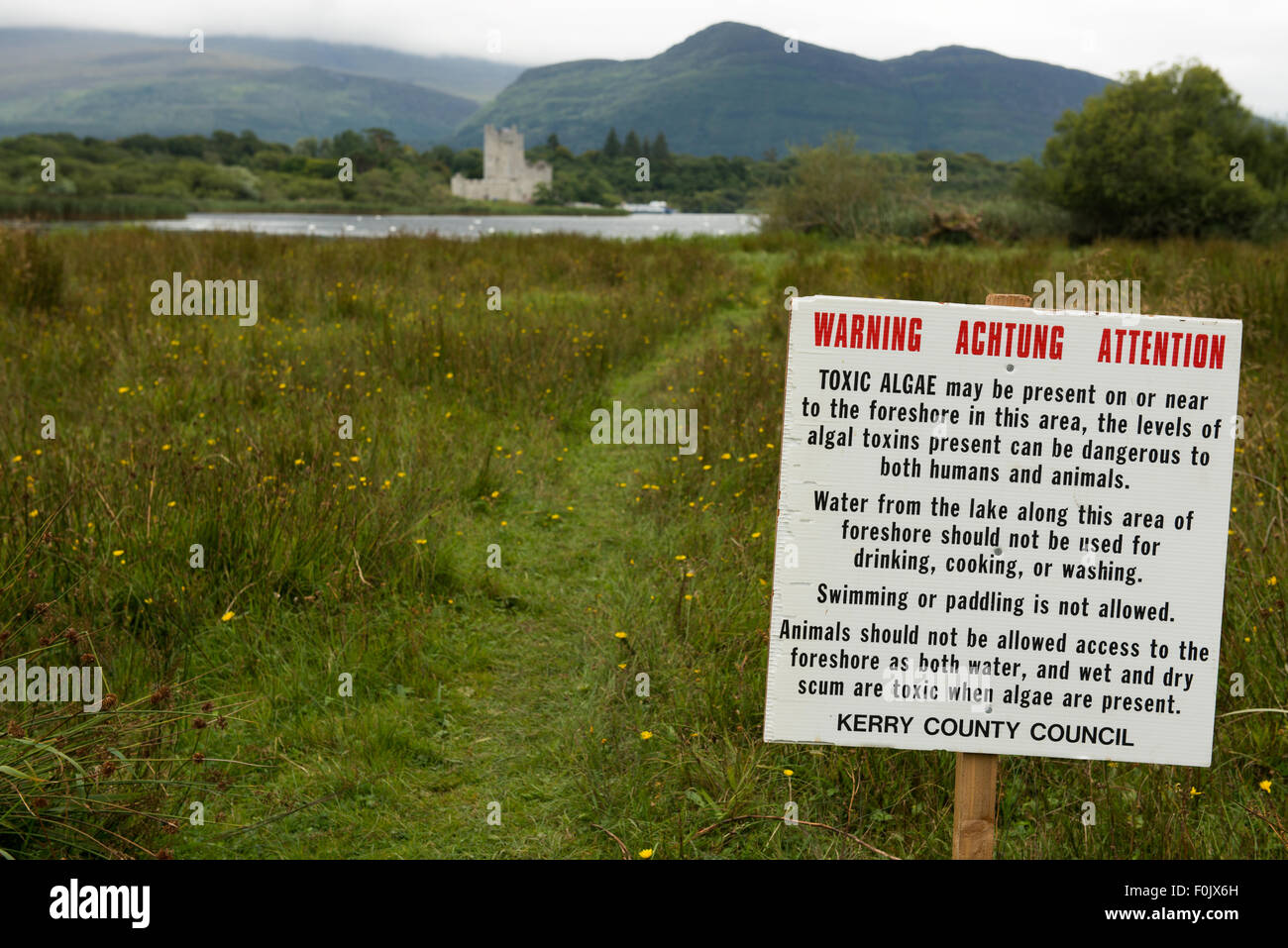Warning sign for toxic algae in Lough Leane lake which is dangerous for humans and dogs in Killarney National Park, County Kerry, Ireland Stock Photo
