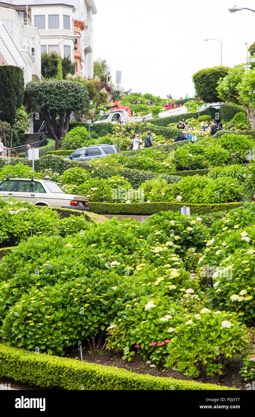 The Famous Lombard Street in San Francisco, California, USA Stock Photo