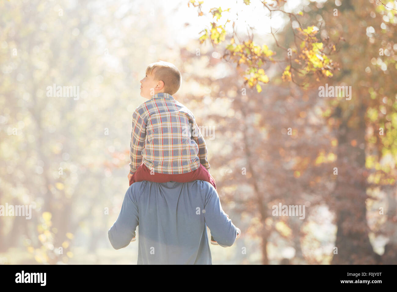 Father carrying son on shoulders below autumn leaves Stock Photo