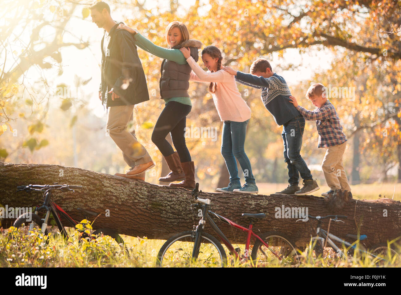 Family walking in a row on fallen log near bicycles Stock Photo