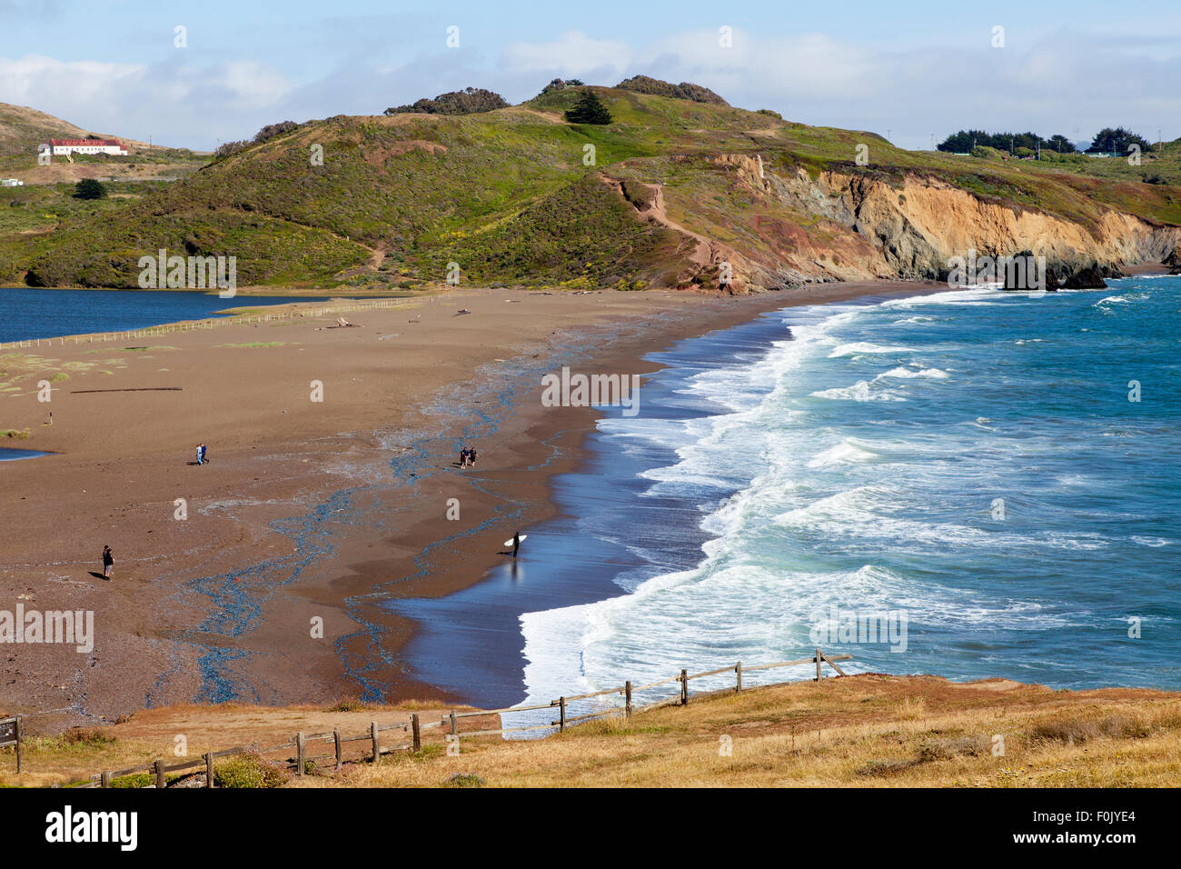Rodeo Beach, Golden Gate National Recreation Area, San Francisco, USA Stock Photo