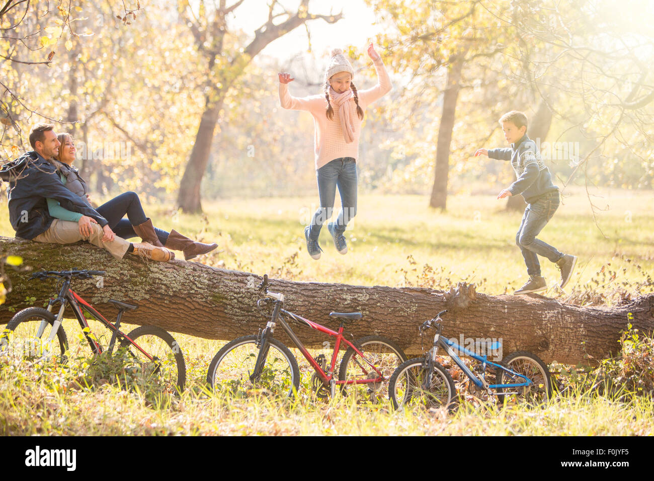 Family playing on fallen log in autumn woods Stock Photo