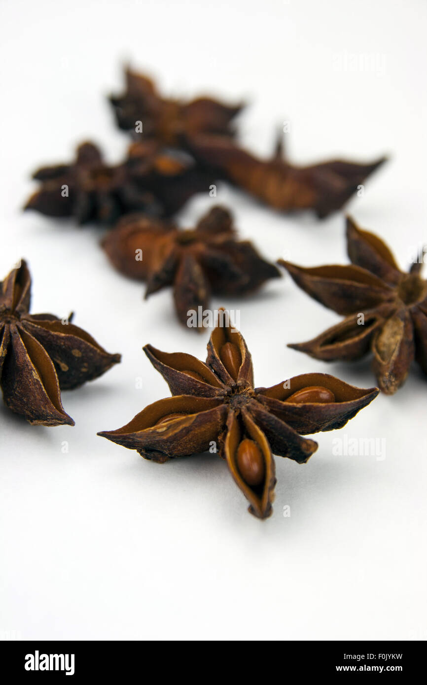 Anise star (Illicium verum) isolated on white background. Also called