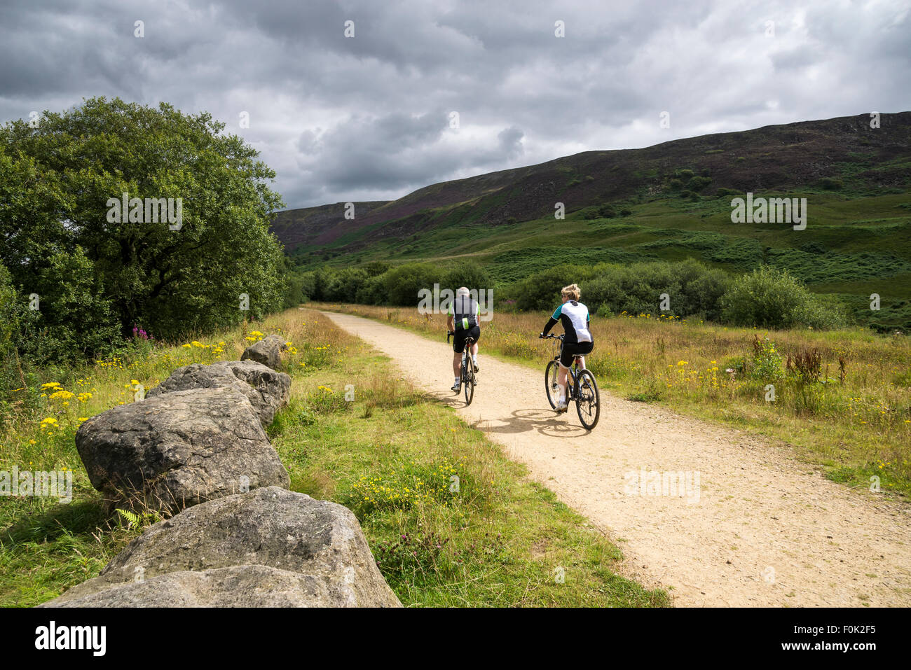 A couple cycling on the Longdendale trail in Derbyshire, England. A sunny summer day with hillsides of purple heather. Stock Photo