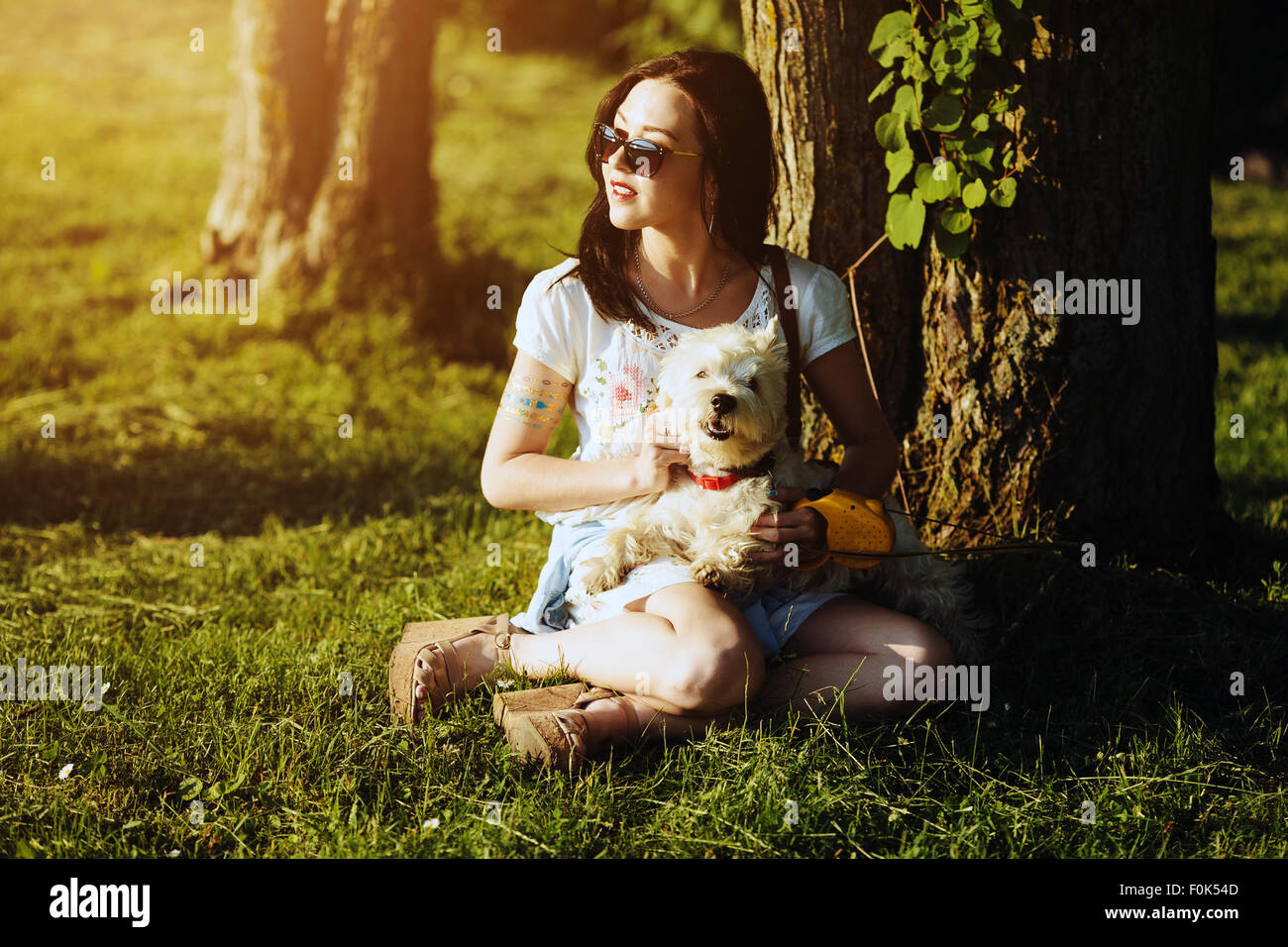 The girl with dog sit on a grass Stock Photo - Alamy