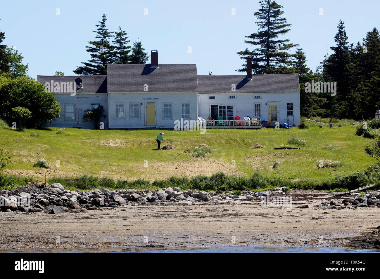 Woman raking hay waterfront home Vinalhaven Island Maine New England USA Stock Photo