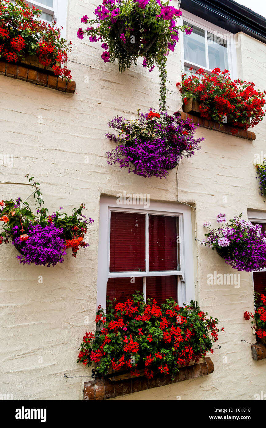 Colourful flower baskets hanging on a pub in Cornwall Stock Photo - Alamy