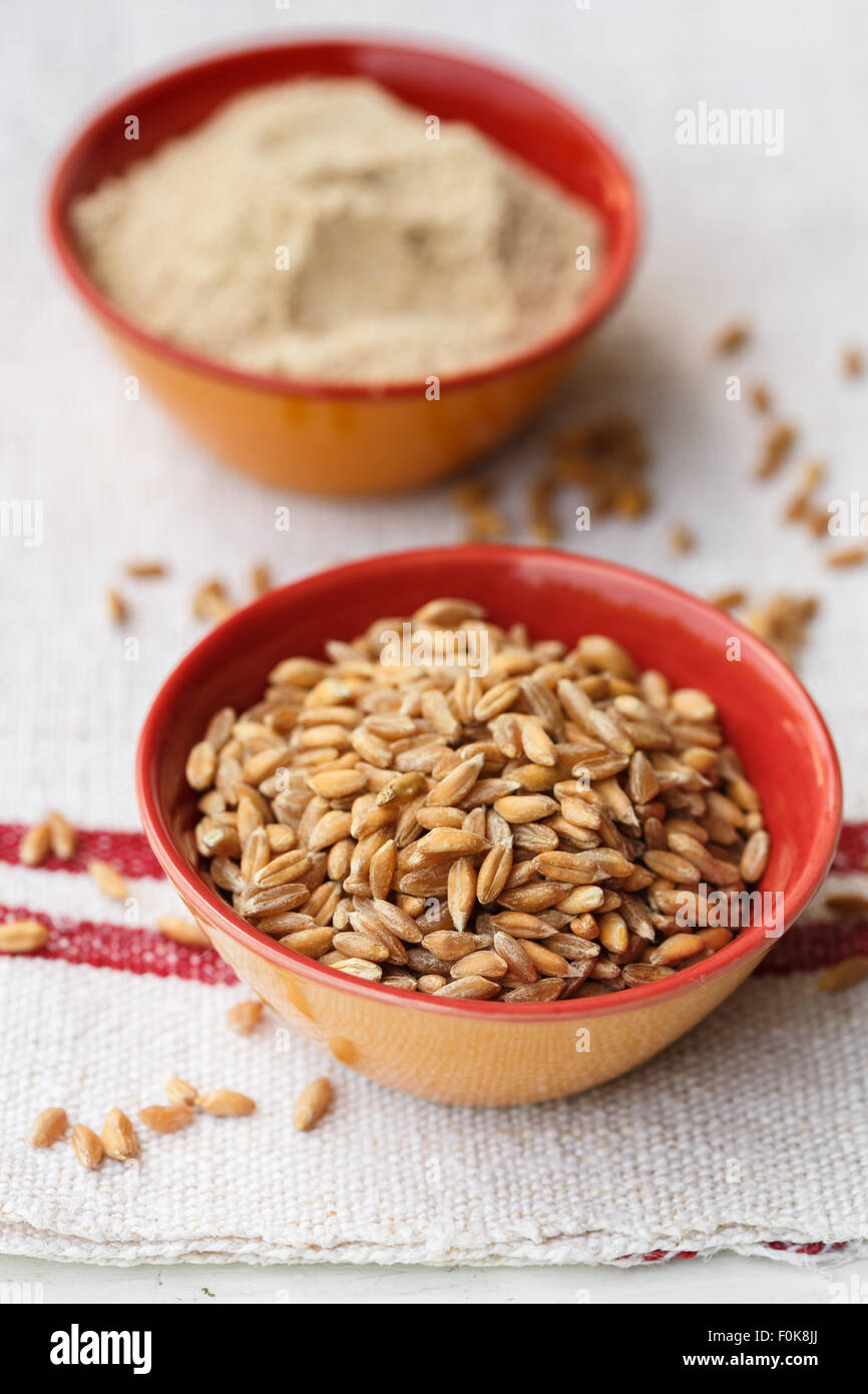 Spelt grains and flour in bowls Stock Photo