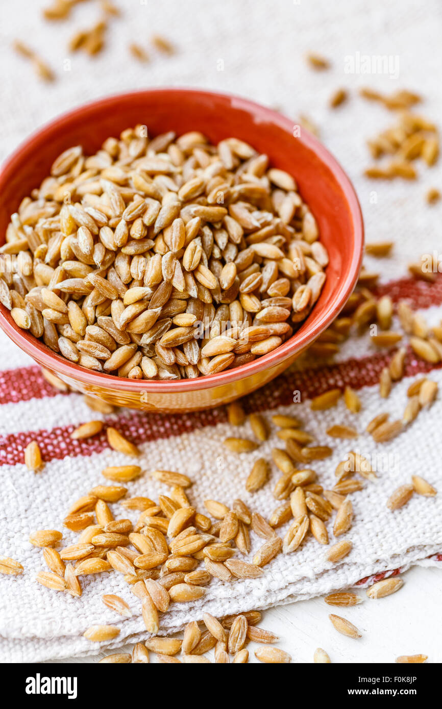 Spelt grains in a bowl Stock Photo