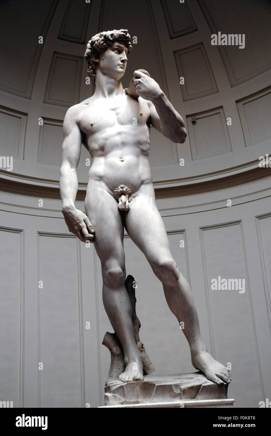 Michelangelo's world famous statue of 'David' in The Galleria dell' Accademia, Florence, Italy. Stock Photo