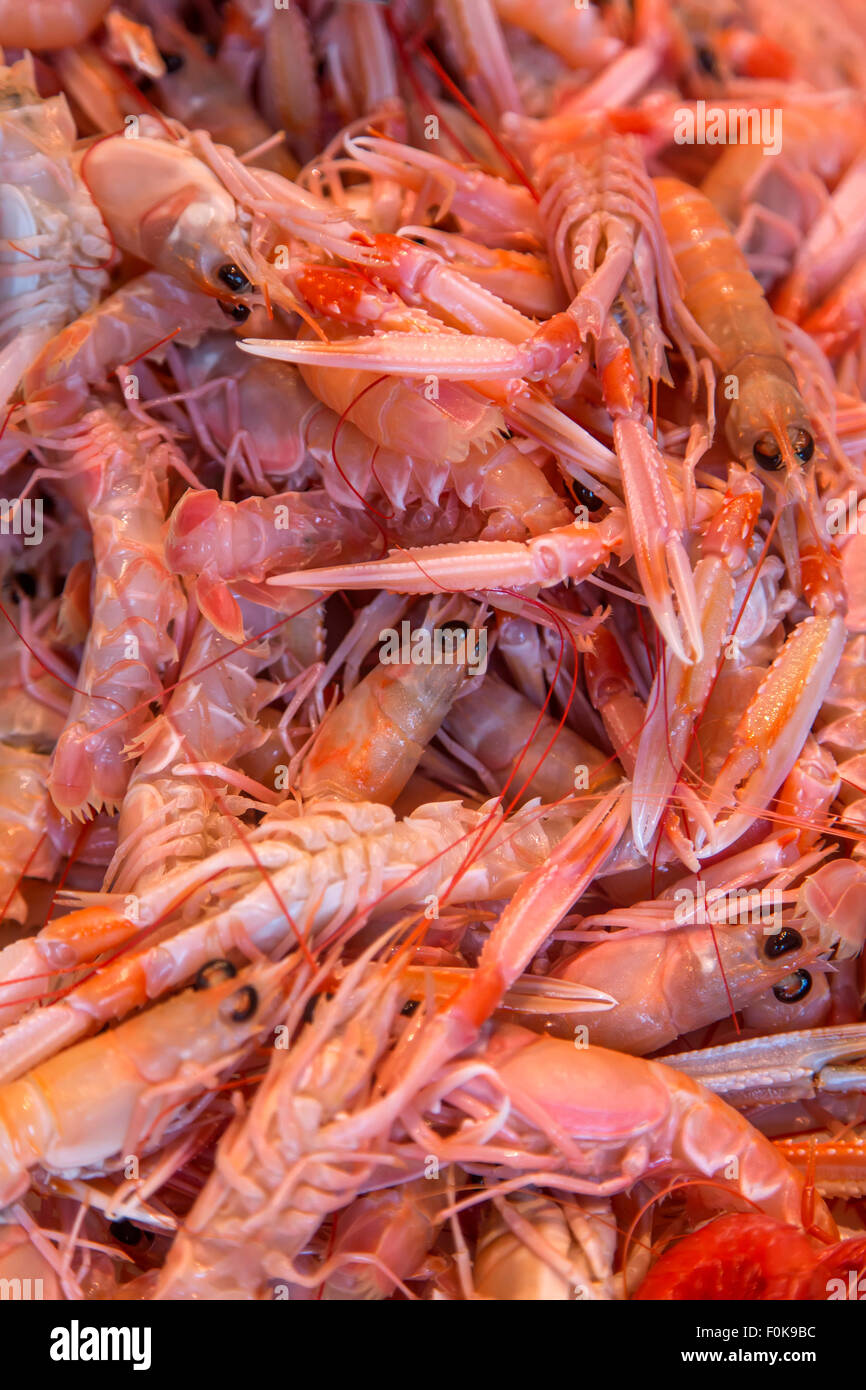 Scampi on the fish market Stock Photo - Alamy