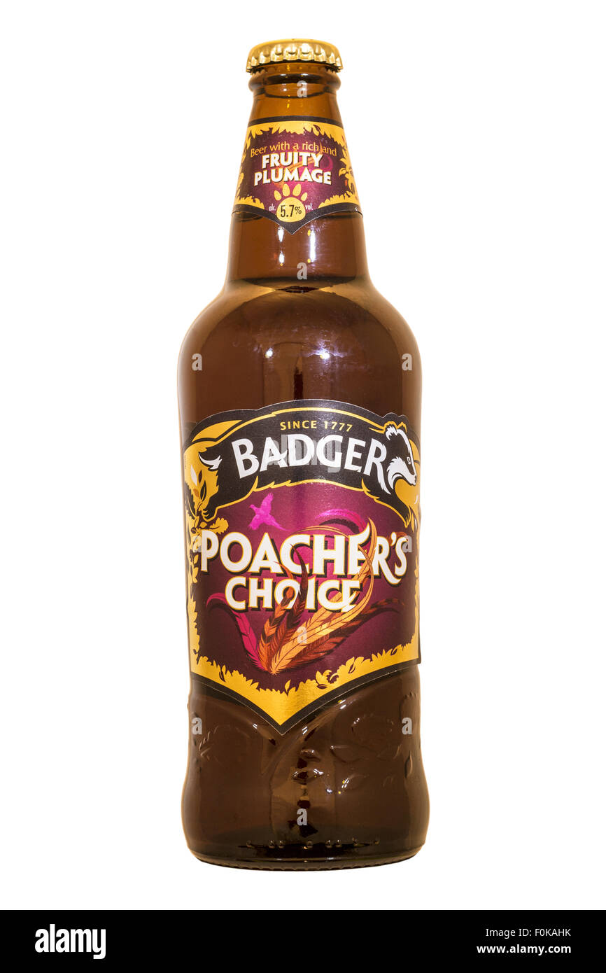 Hall & Woodhouse (Badger) Poacher's Choicer Bottled Beer - 2015. Stock Photo