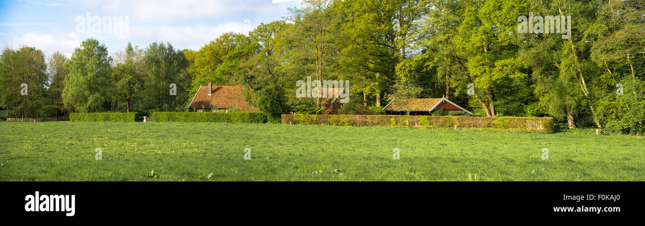 panoramic view of farmland in achterhoek holland Stock Photo