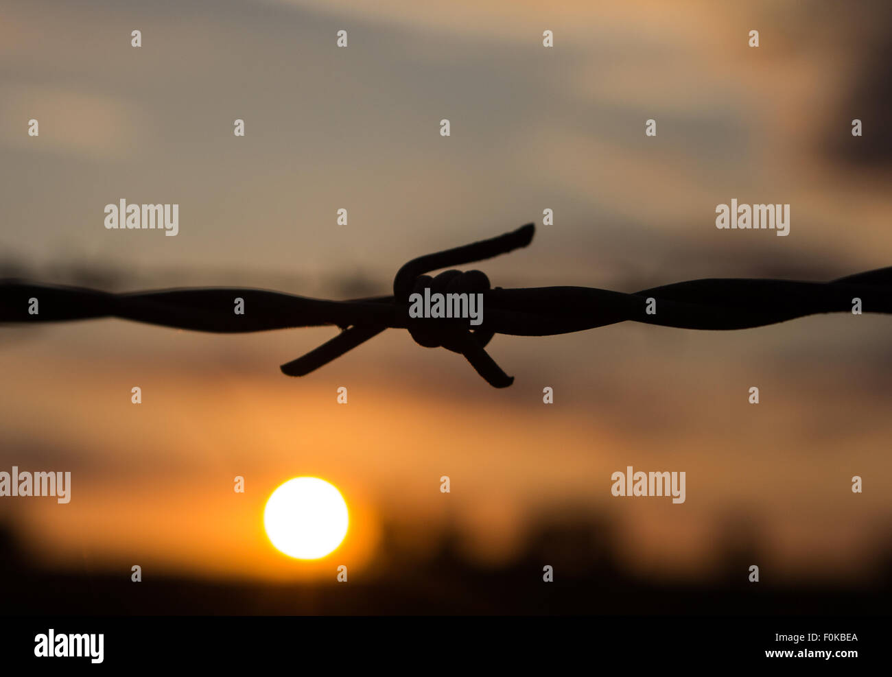 Barbed wire silhouette in front of a sunset on Salisbury Plain ...