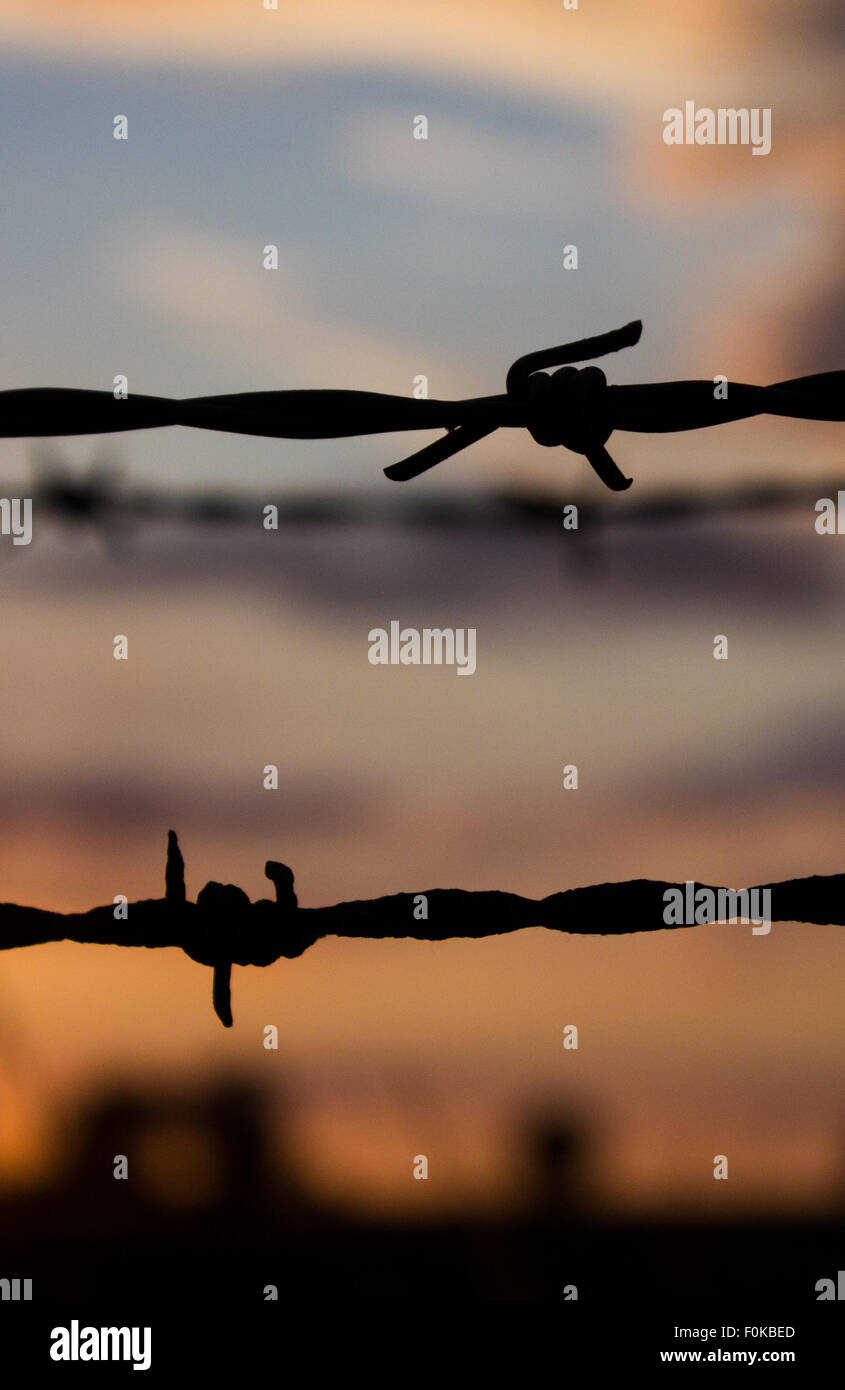 Barbed wire silhouette on the background of a british sunset in the UK ...