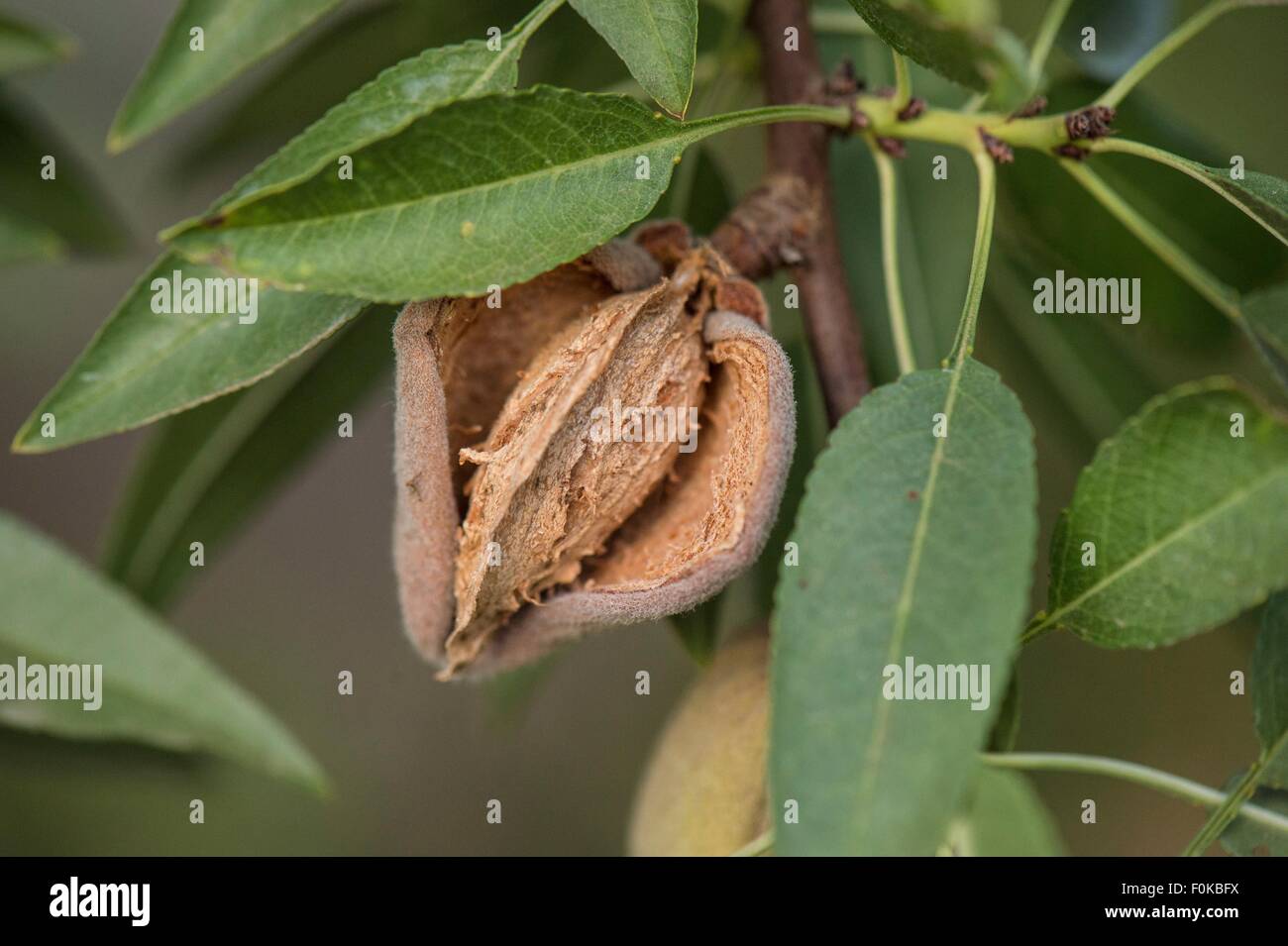 Billion dollar hires stock photography and images Alamy