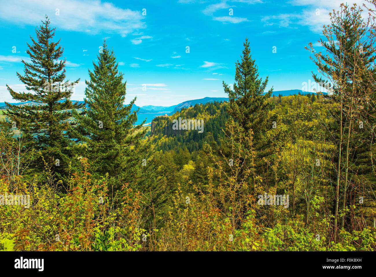 Green Oregon Landscape. Columbia River Gorge Vista. Oregon, United States. Stock Photo