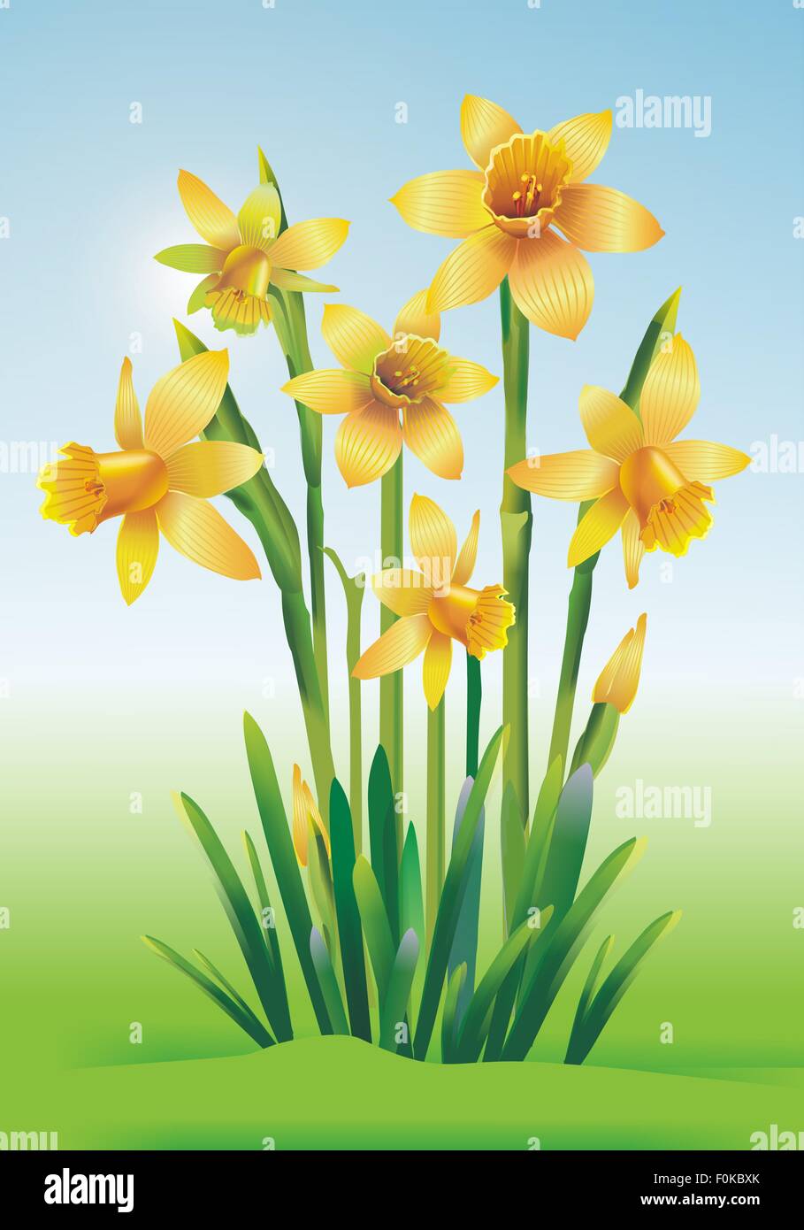 Jonquils Art Illustration. Yellow Jonquils Floral Theme Stock Photo - Alamy