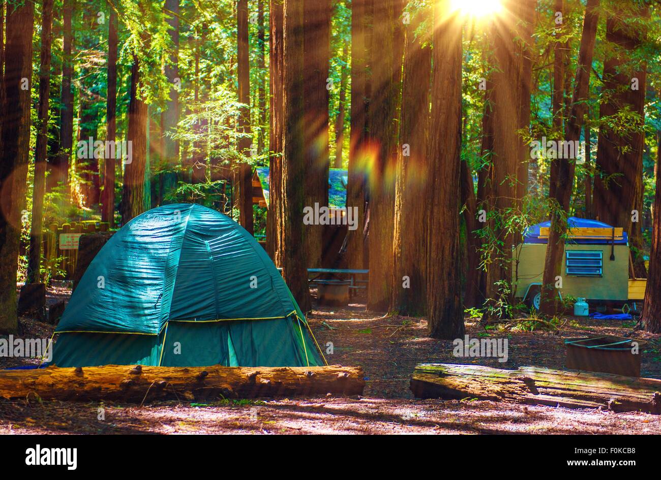 Tent Camping in the Redwood National Park in California, United States. Forest Camping. Stock Photo