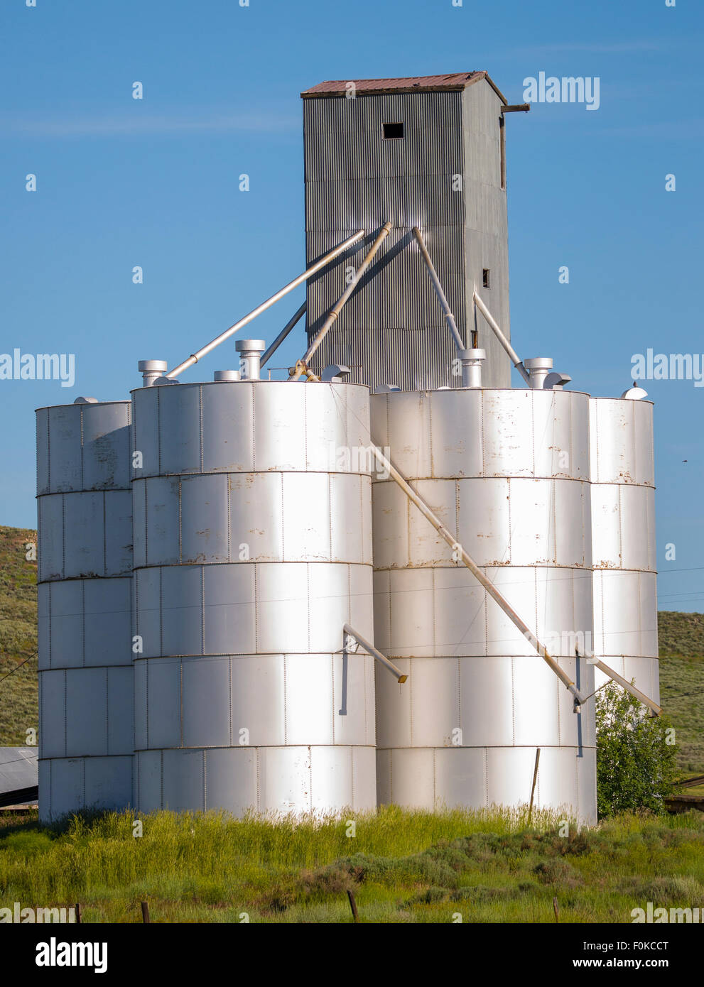 Agriculture, Graineries, Hill City, Rice Farms, Hill City, Camas
